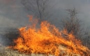 В регионе с 16 апреля введут особый противопожарный режим