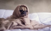 Синоптики предупредили о резком похолодании на выходных
