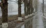Погода в Тульской области 21 декабря: облачно, сухо, южный ветер