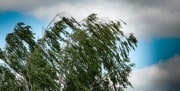 В регионе вновь объявлено метеопредупреждение