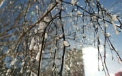 Погода в регионе 6 февраля: до 15 градусов мороза и ветер