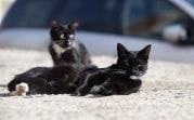 Погода в Туле 8 апреля: до 15 градусов тепла и без осадков