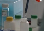 В Тульской области появилась тест-система для определения коронавируса