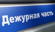 Москвич отобрал у жительницы Донского украшения и смартфон: мужчина скрывался от полицейских 2 года