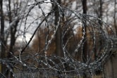 Житель Новомосковского района убил свою сожительницу и ее дочь-инвалида
