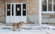 Погода в Тульской обламти 12 декабря: скользко, ветрено и холодно