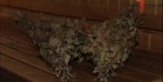 С какими болезнями нельзя ходить в баню