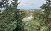 Вместо спиленных елок в Новомосковске рядом с будущим магазином может появиться сквер