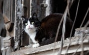 В Центральную Россию вернутся заморозки