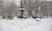 Февральские сюрпризы: в Туле в середине месяца наступит резкое похолодание
