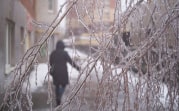 Погода в Туле 26 марта: осадки и низкое давление