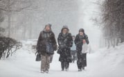 Погода в Туле 15 февраля: снегопад и сильный ветер