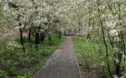 МЧС: на Тульскую область надвигается сильный ветер