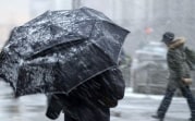 Погода в Тульской области 11 февраля: снег с дождём и порывистый ветер
