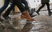 Погода в регионе 2 марта: снег с дождём и ветер