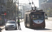 За два месяца на дорогах Тульской области сбили 29 пешеходов