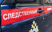 В Плавском районе из-за схода снега с крыши погиб 10-летний ребёнок
