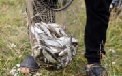 Жителя Тульской области оштрафовали за рыбалку под Астраханью