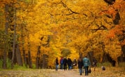 Период золотой осени: синоптики предупредили о похолодании и затяжных дождях в Центральной России
