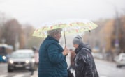 Погода в Туле 13 октября: ветрено и до +13 градусов