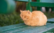В первый день осени синоптики спрогнозировали 27-градусную жару