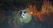 В Богородицком районе пьяная дама на Sandero улетела в кювет