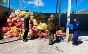 Прокуратура Тульской области проверяет организацию, сжигающую медицинские отходы