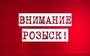 Полиция просит откликнуться свидетелей наезда на девочку в Новомосковске
