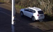 В Узловой водитель кроссовера намеренно сбил собаку