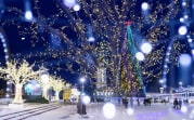 Туляков в новогоднюю ночь могут ждать 20-градусные морозы