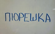 Пюрешка, сапборд и капча: РАН добавила в орфографический словарь русского языка еще 264 слова