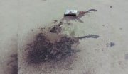 Покушение на убийство в Узловой: возбуждено уголовное дело