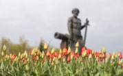 Погода в Туле 22 мая: до +25 градусов, местами грозы
