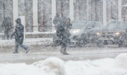 Туляков предупредили об осложнении ситуации на дорогах из-за сильного снега