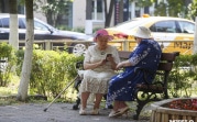 В Тульской области более 9,6 тыс. жителей получают повышенную пенсию за работу в сельском хозяйстве