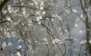 Погода в Тульской области 26 февраля: мокрый снег, до +5 и низкое давление