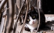 Погода в Тульской области 29 марта: переменная облачность и до +17 градусов