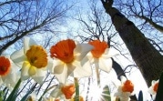 Погода в Тульской области 27 марта: до 17 градусов тепла, умеренный ветер и без осадков