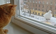 Погода в Тульской области 14 февраля: облачно, без осадков, низкое давление
