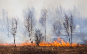 В Тульской области официально завершился пожароопасный сезон