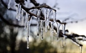 Погода в Тульской области 4 декабря: облачно, без осадков, до +2 градусов