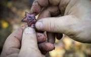 Музей Победы разыскивает родственников красноармейца из Тульской области