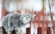 Погода в Тульской области 28 марта: тепло и сухо