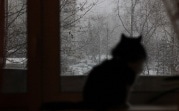 Атмосферное давление в Центральной части России опустилось до рекордных значений