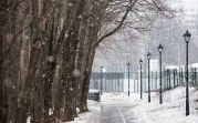 Погода на 14 января в Туле: холод ночью и переменная облачность днем