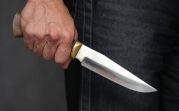 Житель Богородицка во время пьяной ссоры зарезал знакомого