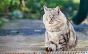 Синоптики рассказали, когда в регион придет весеннее тепло