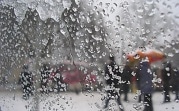 Погода в Тульской области 19 февраля: снег с дождем, ветер и до +6 градусов