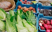 В России наладят производство продуктов без ядохимикатов и вредоносных компонентов