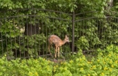 Из школьной программы 6-7-х классов уберут уроки обществознания